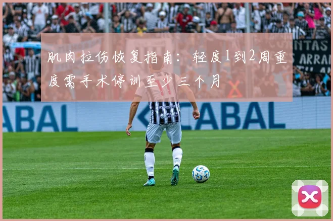 肌肉拉伤恢复指南：轻度1到2周重度需手术停训至少三个月