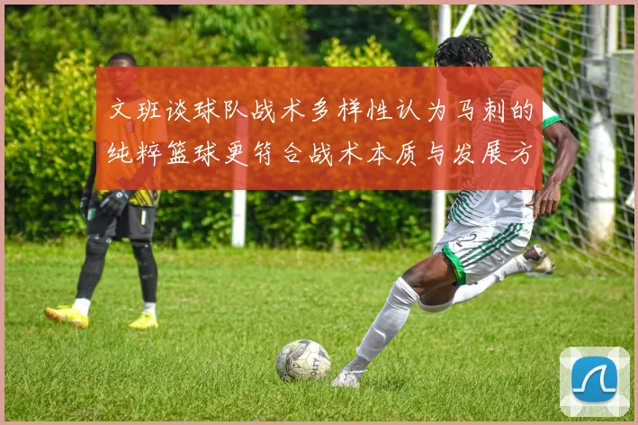 文班谈球队战术多样性认为马刺的纯粹篮球更符合战术本质与发展方向