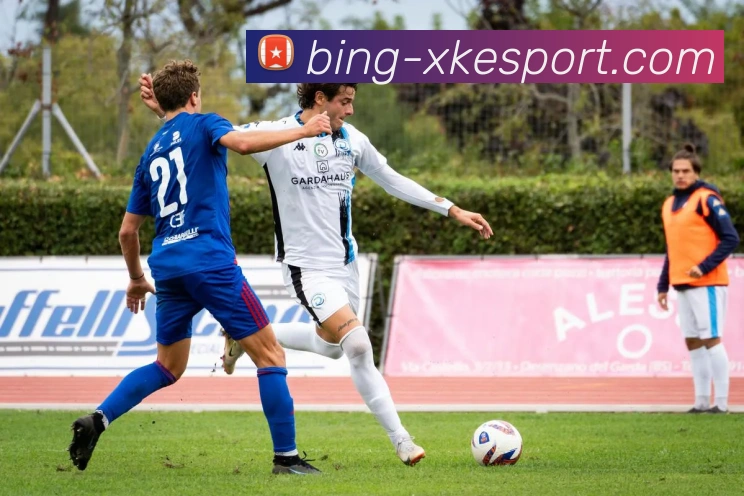 星空电竞平台生态图